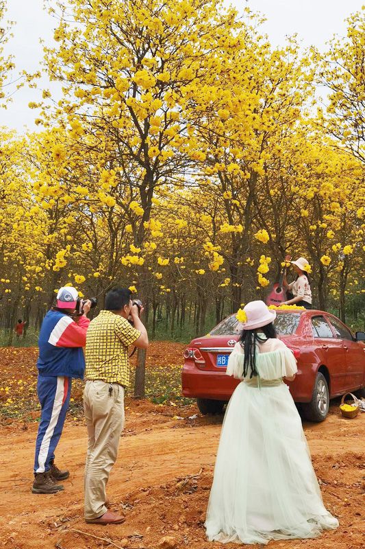 1650527024539532.jpg 1650527024539532.jpg