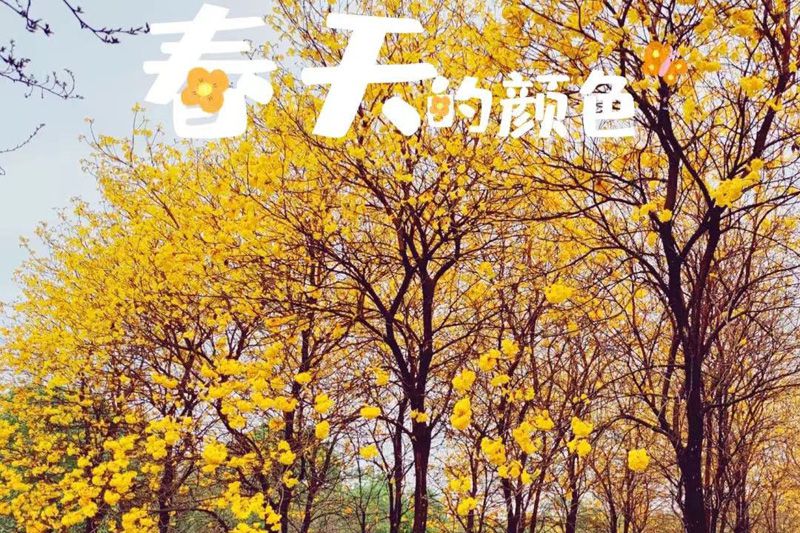 1650527101563242.jpg 微信圖片_20220319140510.jpg