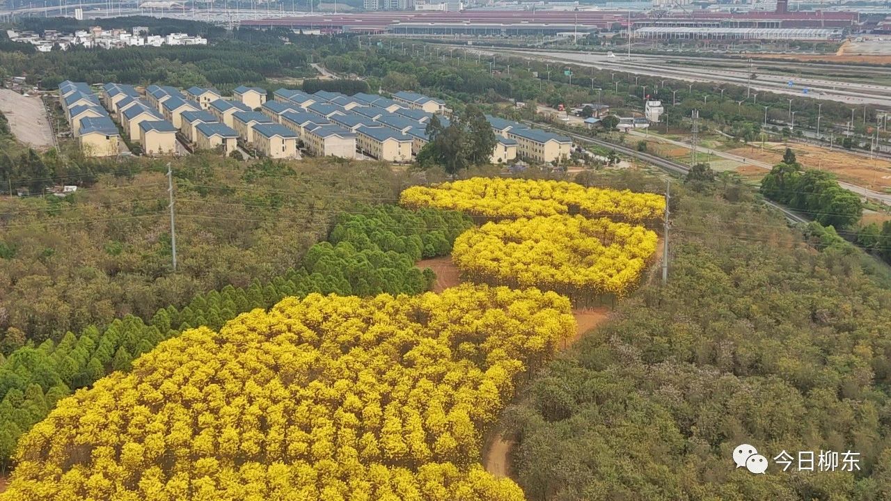 1679293695373214.jpg 1679293695373214.jpg