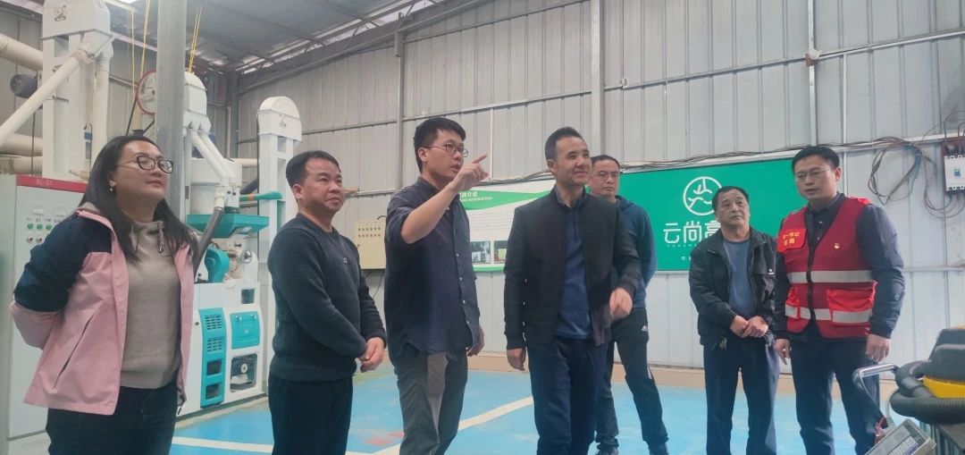 1706073328119430.jpg 1706073328119430.jpg