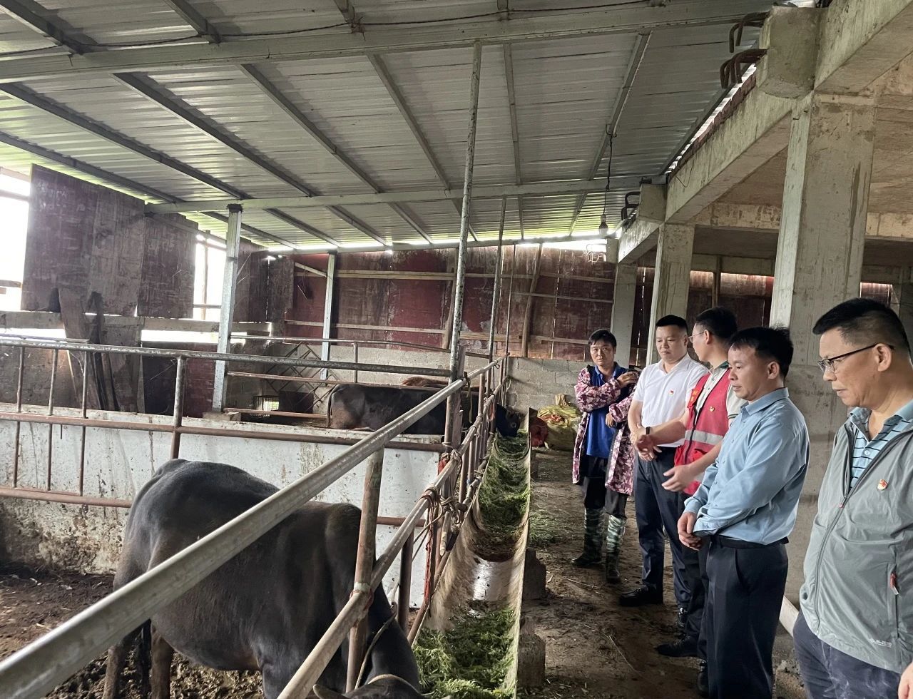 1717642440578045.jpg 1717642440578045.jpg