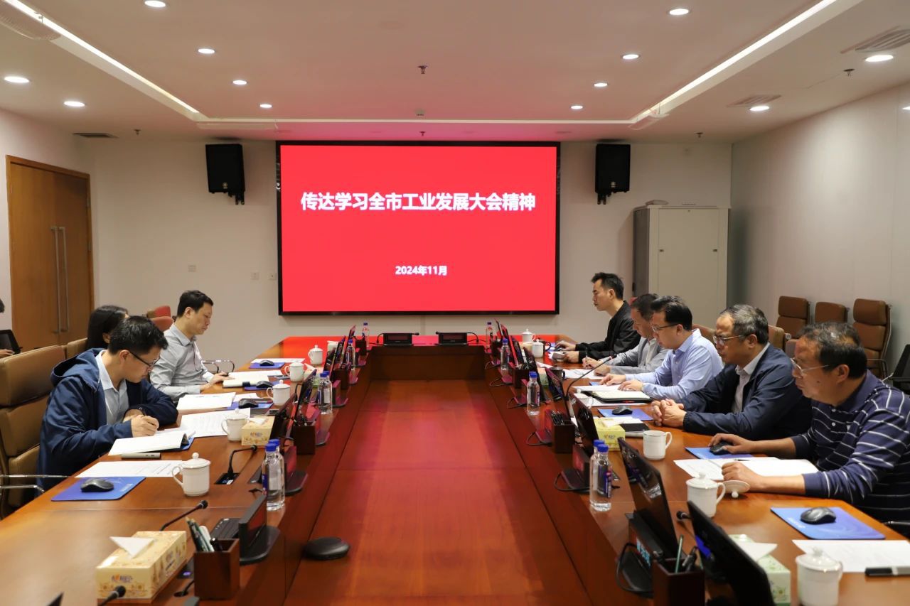 1733741460888950.jpg 1733741460888950.jpg